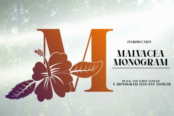 Malvacea: A Display Font for Bold Branding
